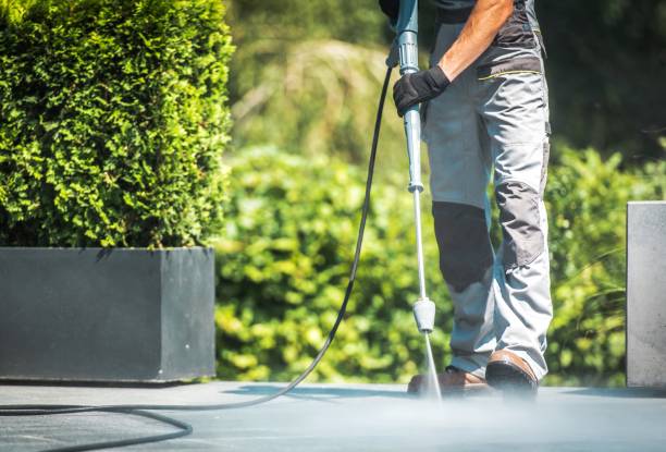 Best Patio and Deck Pressure Washing  in La Harpe, IL