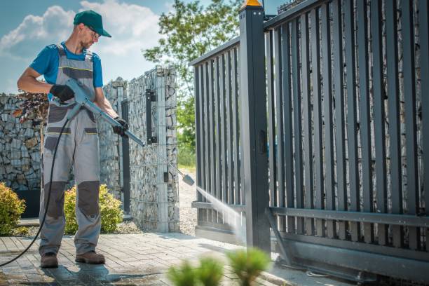 Best Pre-Holiday Cleaning  in La Harpe, IL