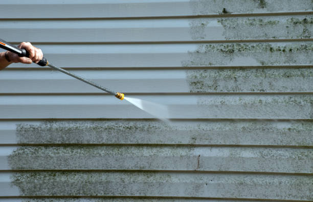 Professional  Pressure Washing Services in La Harpe, IL