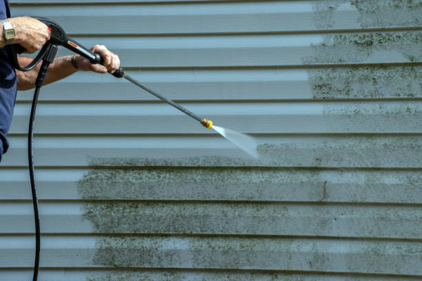 Best Paint Preparation  in La Harpe, IL