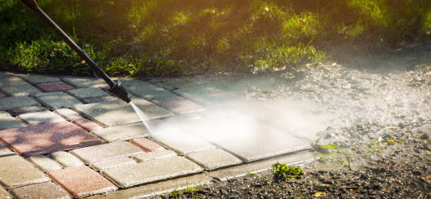 Best Dumpster Area Cleaning  in La Harpe, IL